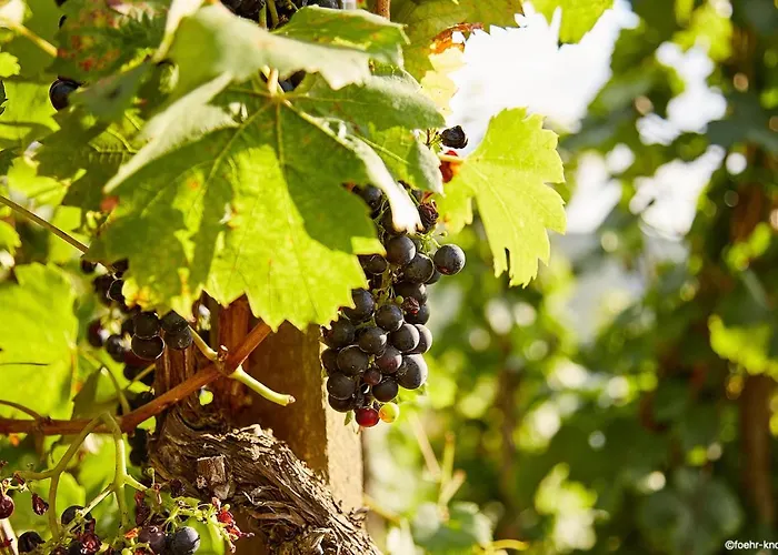 Easyhotel 3* Bernkastel-Kues